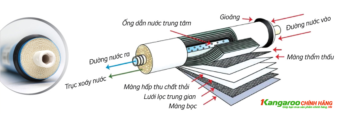 Màng lọc RO Kangaroo