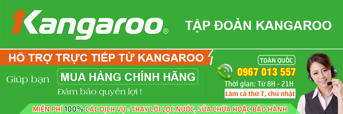 Tư vấn Kangaroo