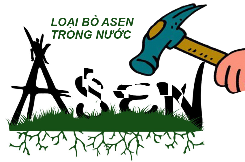 Loại bỏ hoàn toàn ASEN trong nước