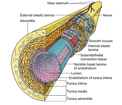 Màng lọc RO Filmtex có tác dụng gì ?
