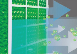 Nước nhanh chóng lan rộng